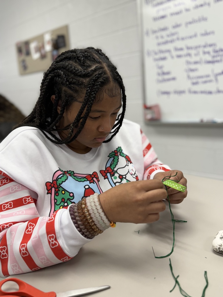 Up close shot of high school student working on hand sewing project for Human Studies course