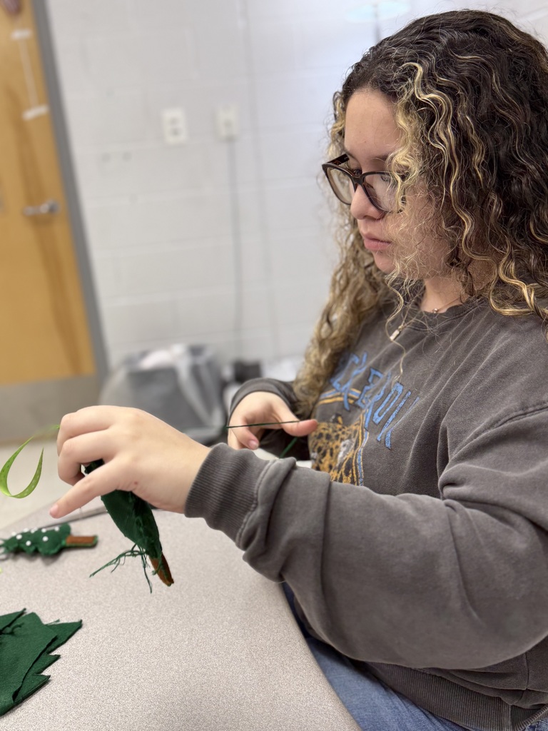 Up close shot of high school student working on hand sewing project for Human Studies course