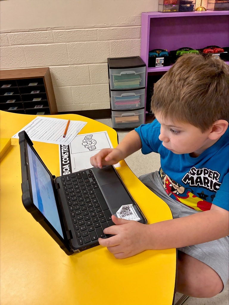 3rd grade animal adaptation projects with students displaying work