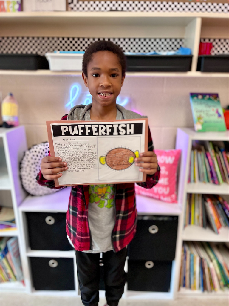 3rd grade animal adaptation projects with students displaying work