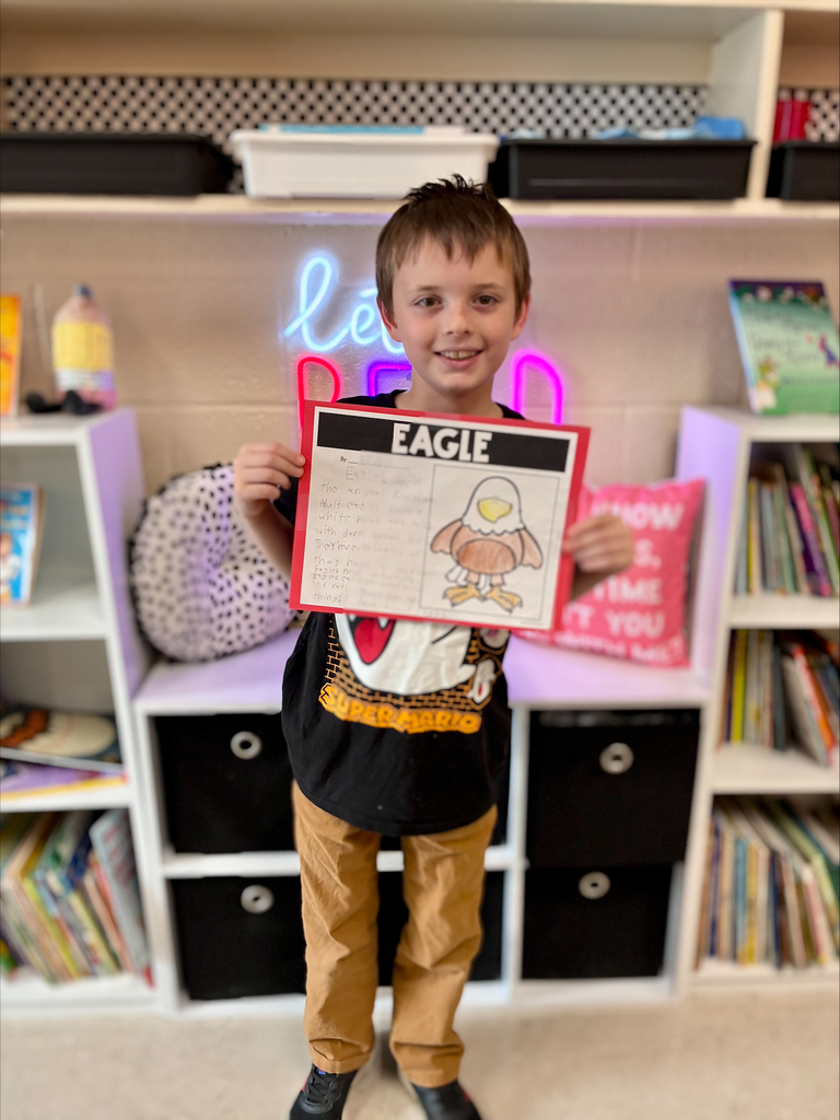 3rd grade animal adaptation projects with students displaying work