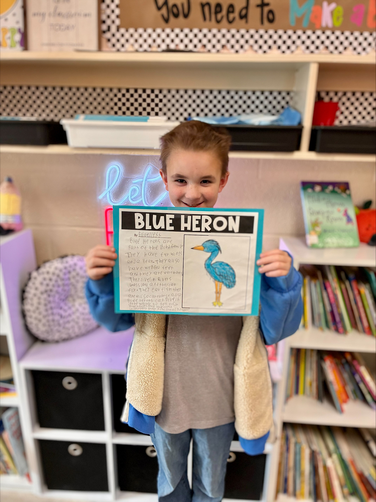 3rd grade animal adaptation projects with students displaying work