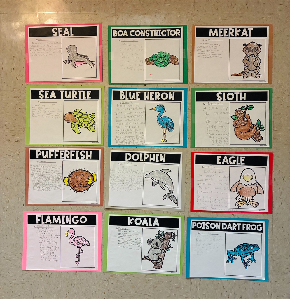 3rd grade animal adaptation projects with students displaying work