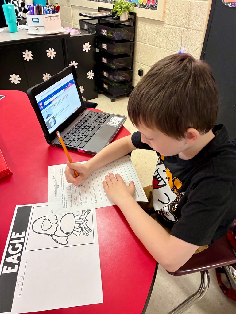 3rd grade animal adaptation projects with students displaying work