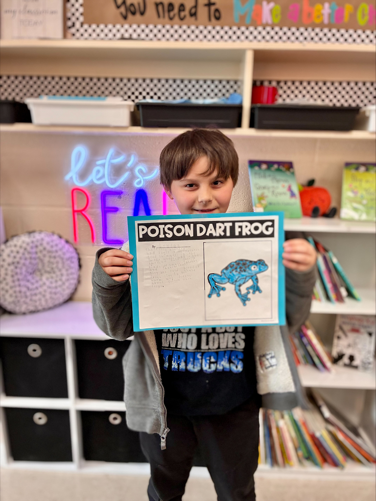 3rd grade animal adaptation projects with students displaying work