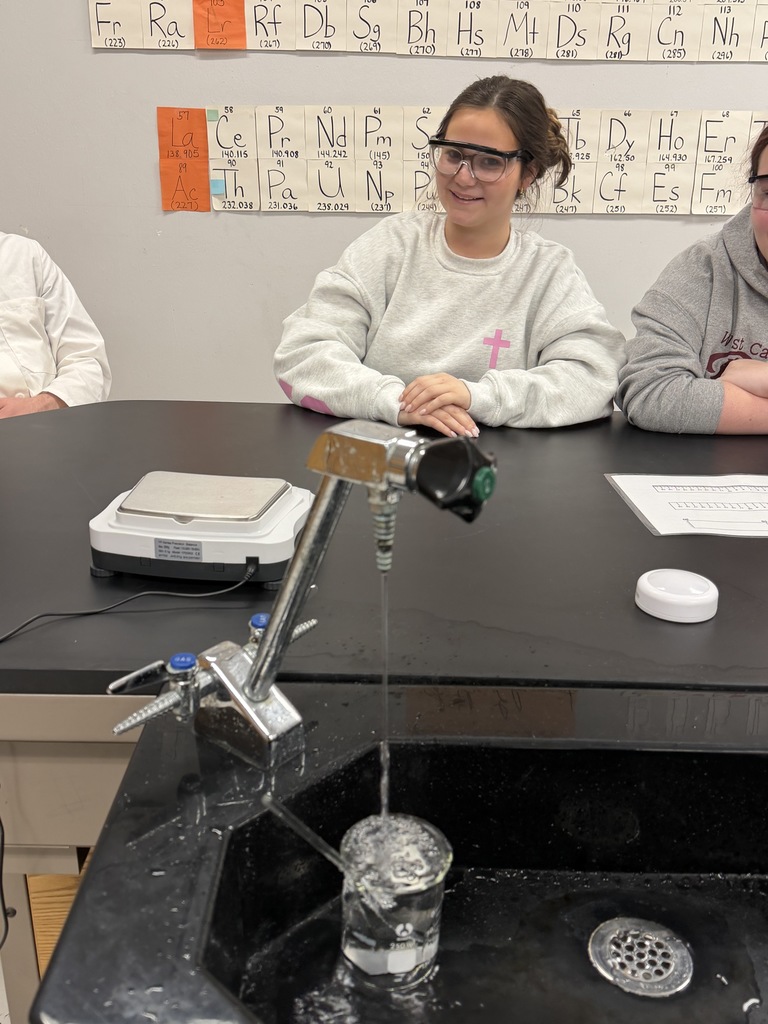 Chemistry students experimenting. 