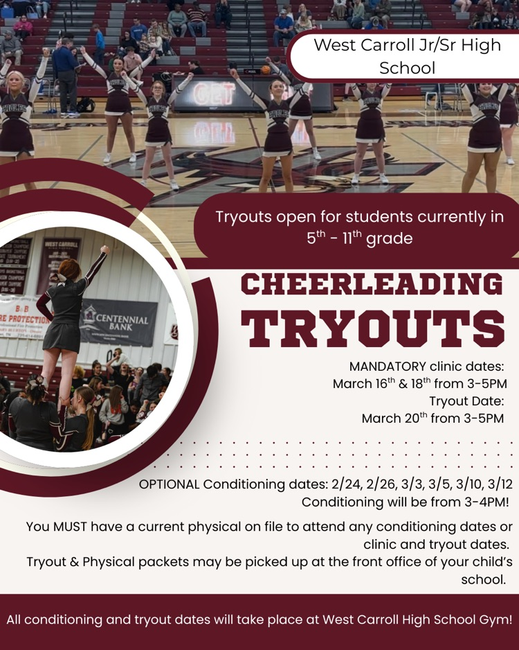 WCJSHS Cheer tryout flyer information. 