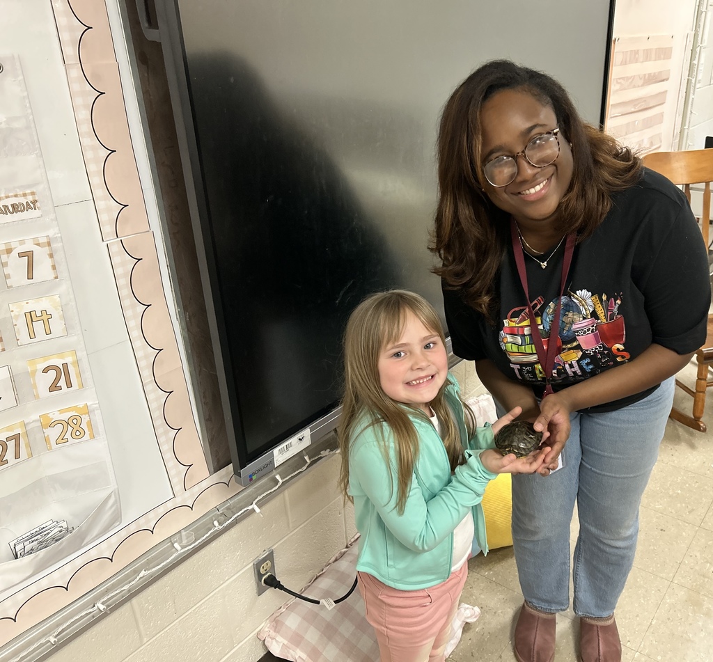 ms taolers class learning about turtle student holding turtle