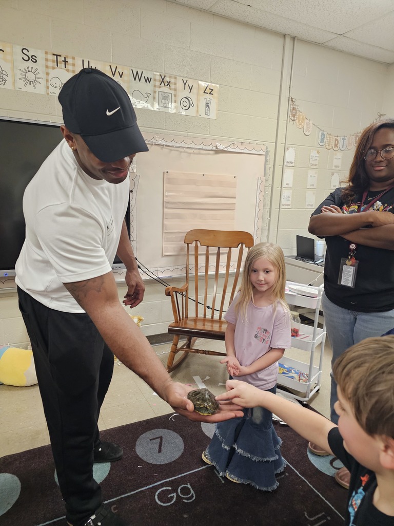 ms taolers class learning about turtle student holding turtle