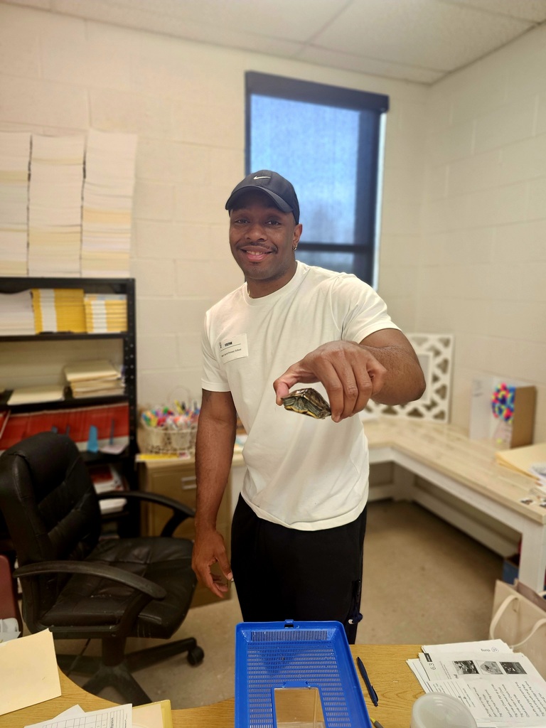 ms taolers class learning about turtle student holding turtle