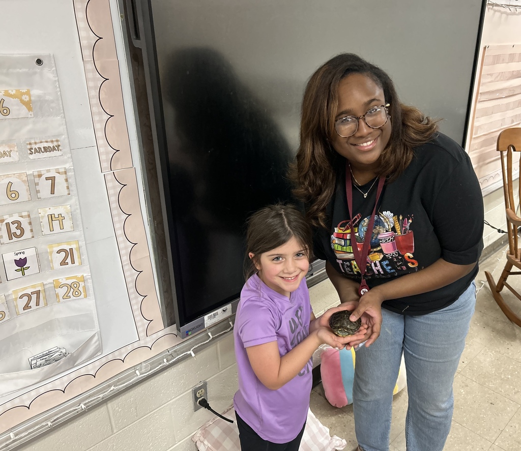 ms taolers class learning about turtle student holding turtle