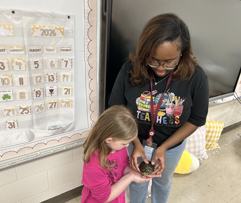 ms taolers class learning about turtle student holding turtle