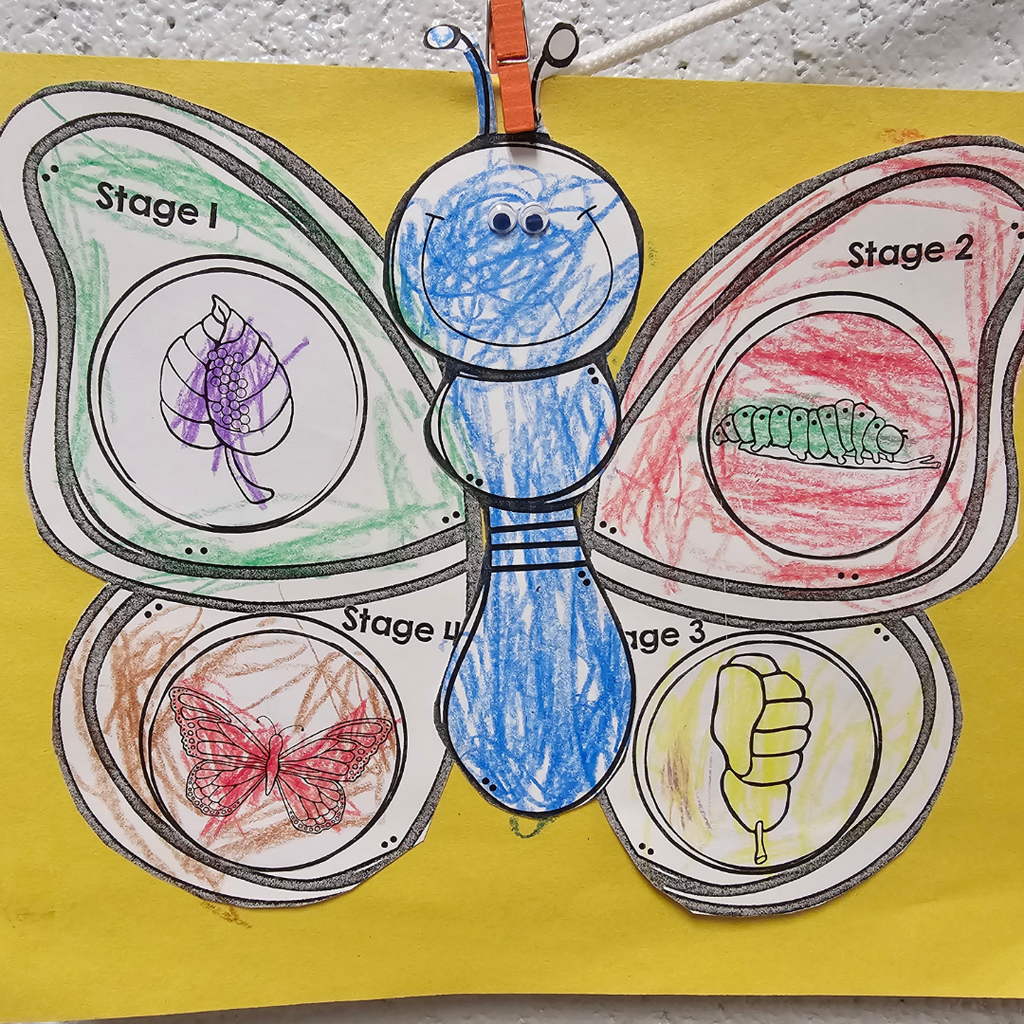 examples of west carroll primary spring projects; butterfly life cycle