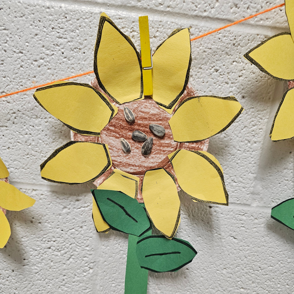examples of west carroll primary spring projects; butterfly life cycle