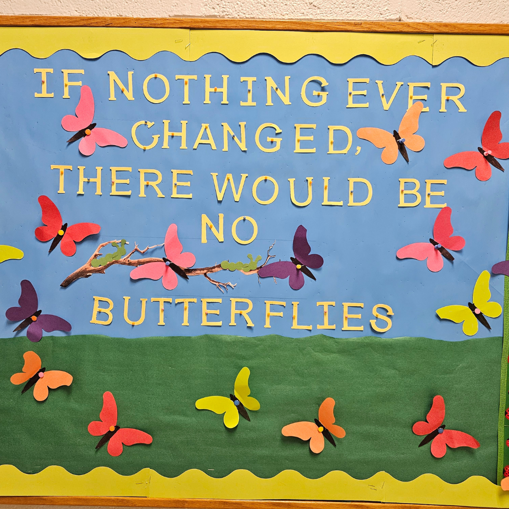 examples of west carroll primary spring projects; butterfly life cycle
