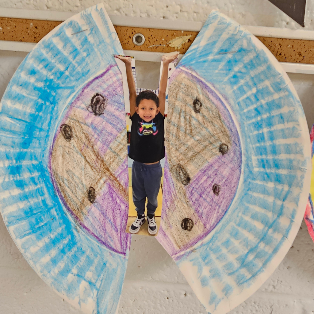 examples of west carroll primary spring projects; butterfly life cycle