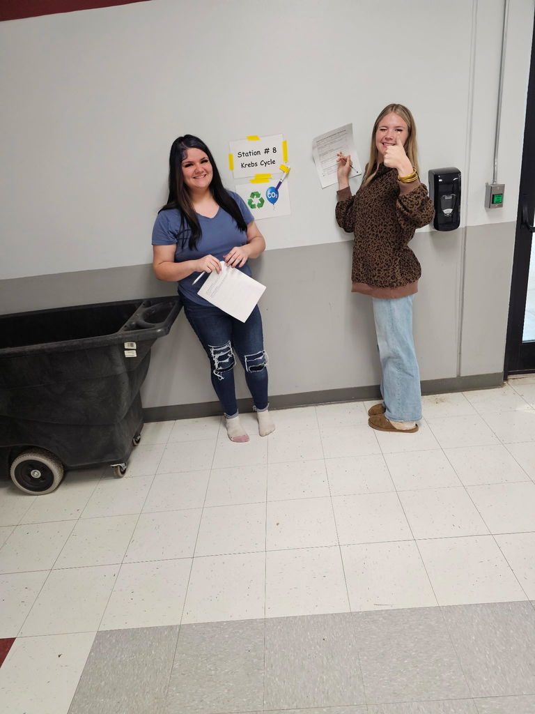 Biology students working in the halls for a stations review activity in preparation for upcoming EOC exam 