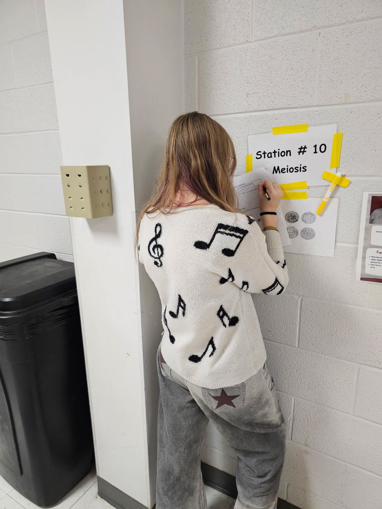 Biology students working in the halls for a stations review activity in preparation for upcoming EOC exam 