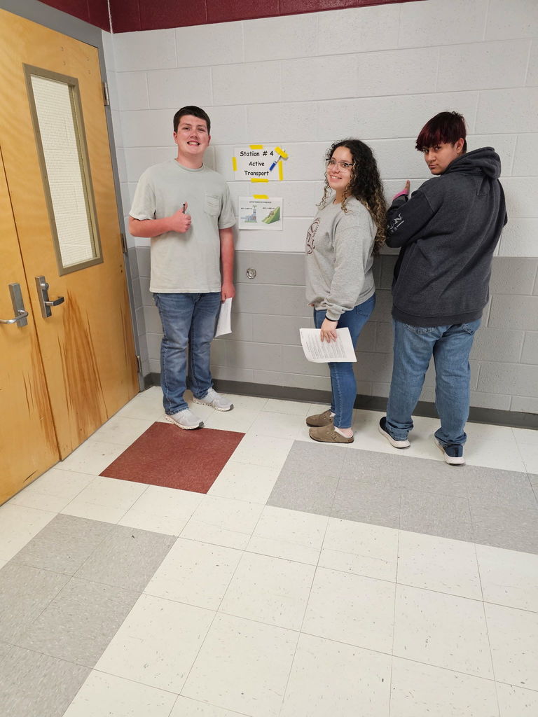 Biology students working in the halls for a stations review activity in preparation for upcoming EOC exam 