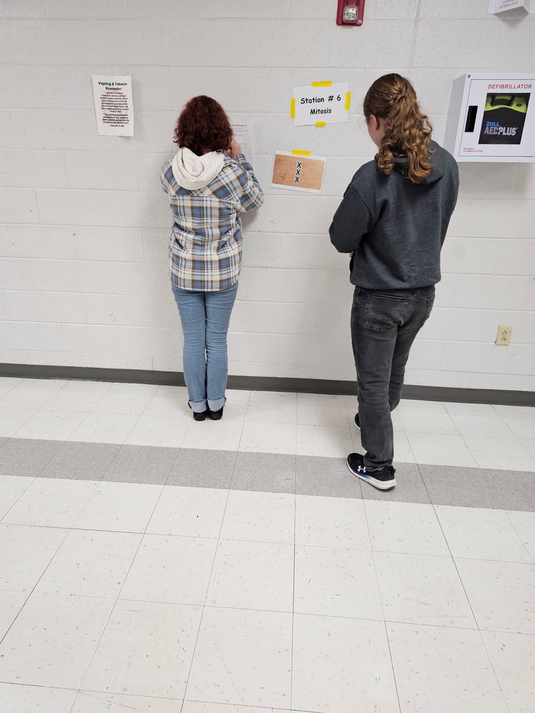 Biology students working in the halls for a stations review activity in preparation for upcoming EOC exam 