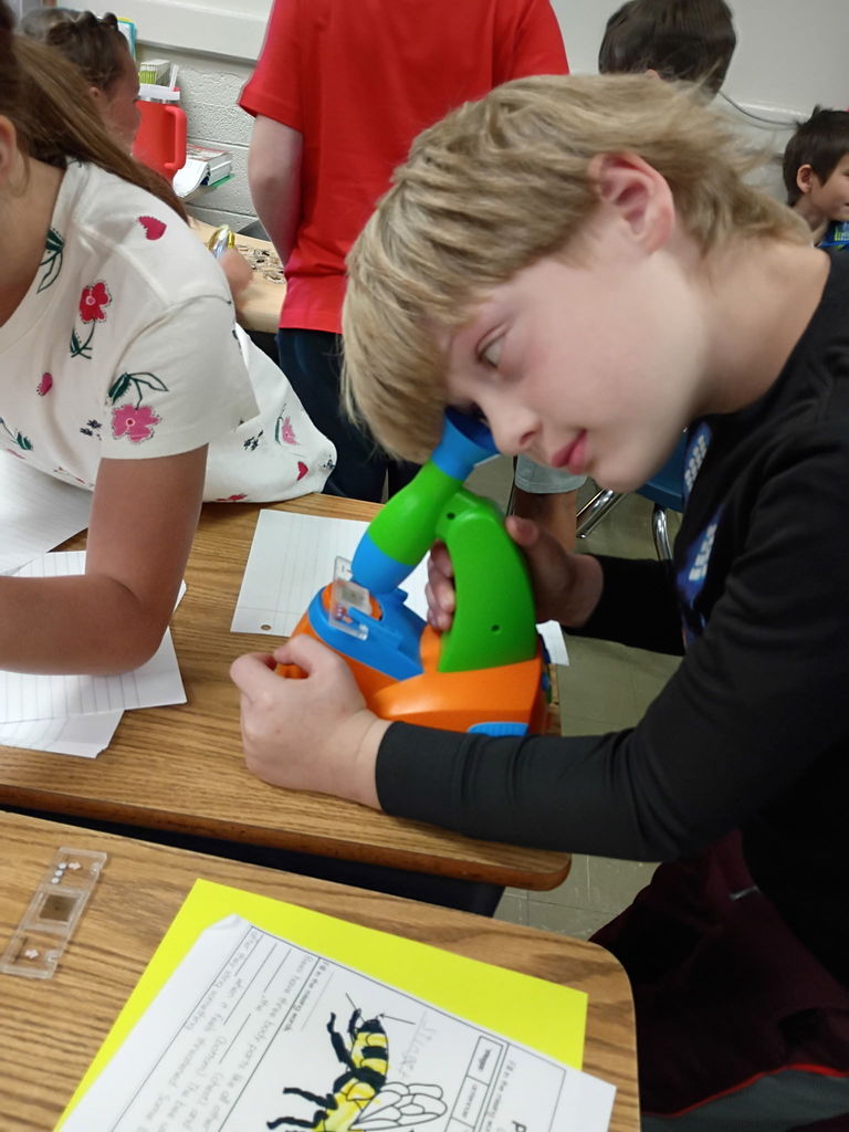 west carroll primary students studying bugs in bug lab with materials and equipment on tables
