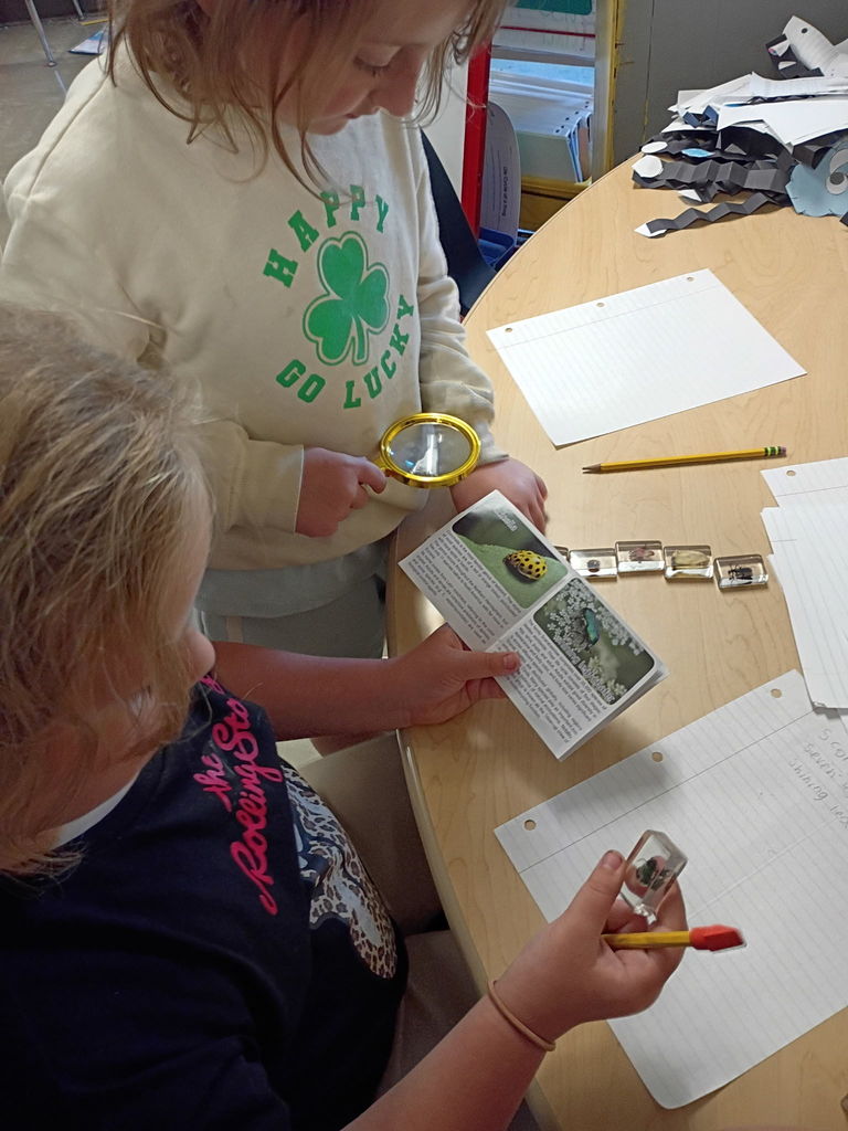 west carroll primary students studying bugs in bug lab with materials and equipment on tables