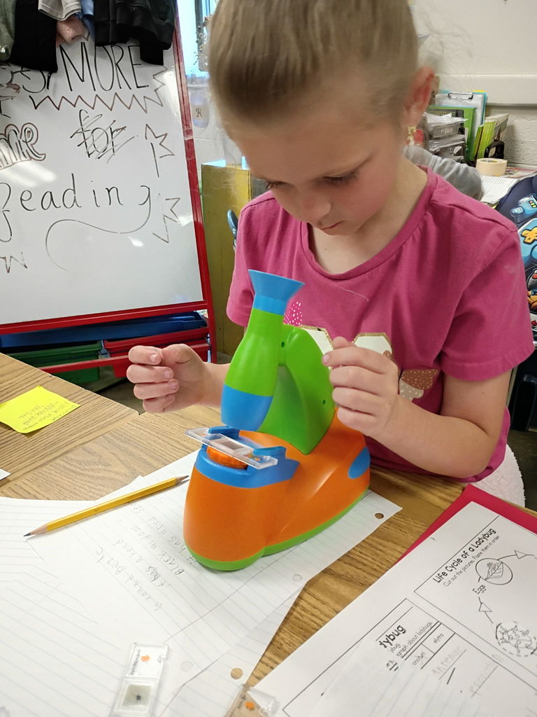 west carroll primary students studying bugs in bug lab with materials and equipment on tables