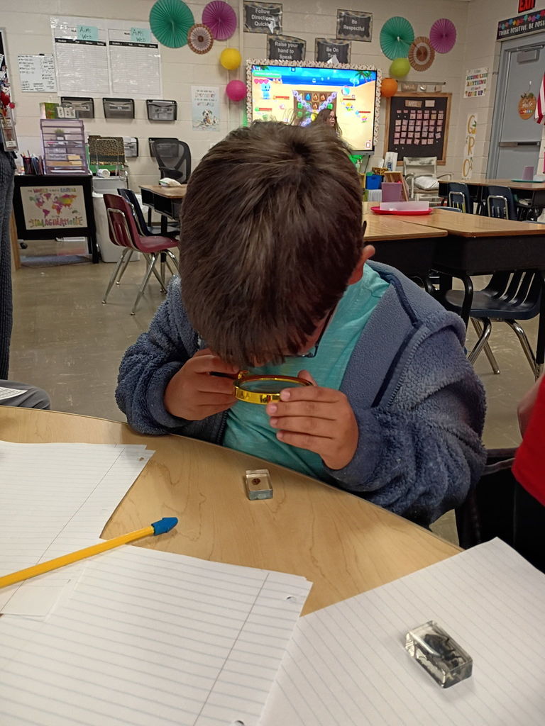 west carroll primary students studying bugs in bug lab with materials and equipment on tables