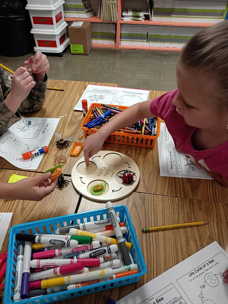 west carroll primary students studying bugs in bug lab with materials and equipment on tables