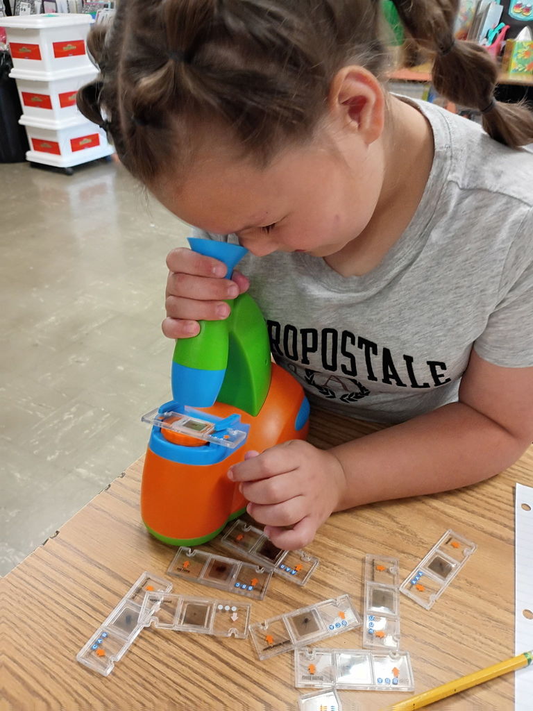 west carroll primary students studying bugs in bug lab with materials and equipment on tables