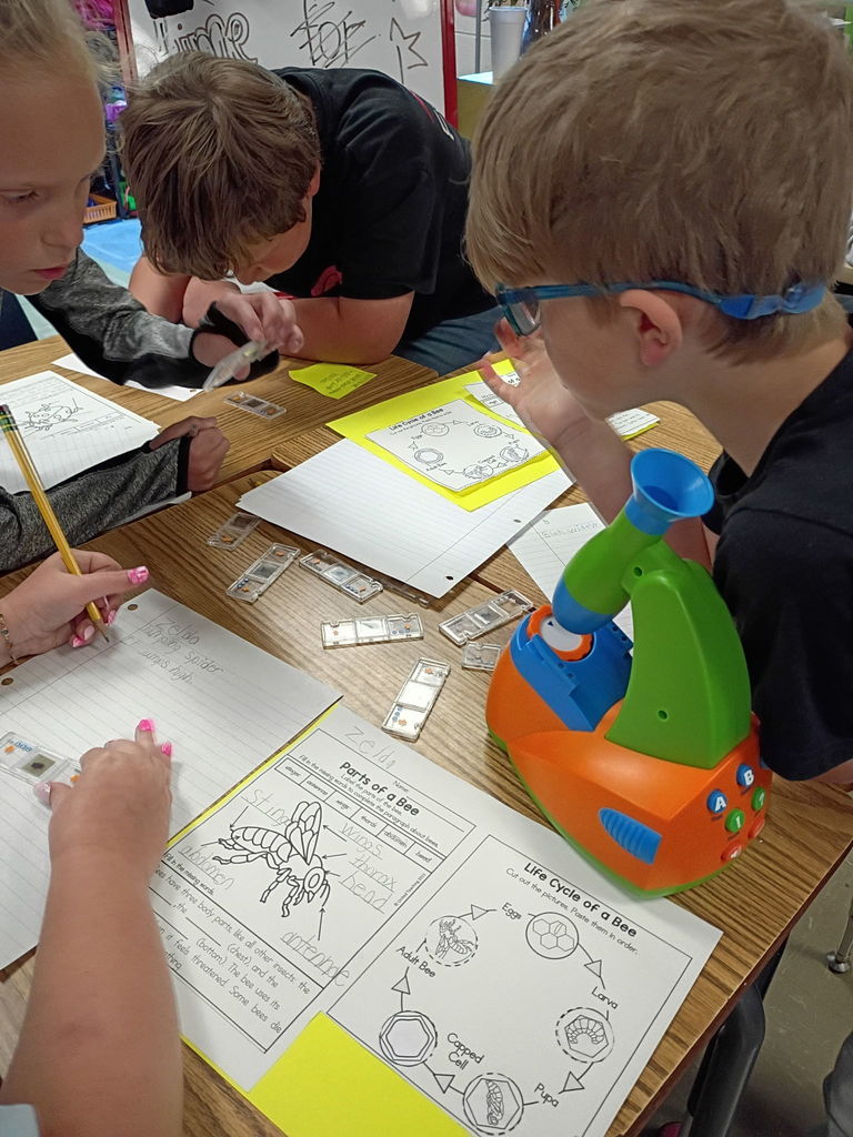 west carroll primary students studying bugs in bug lab with materials and equipment on tables