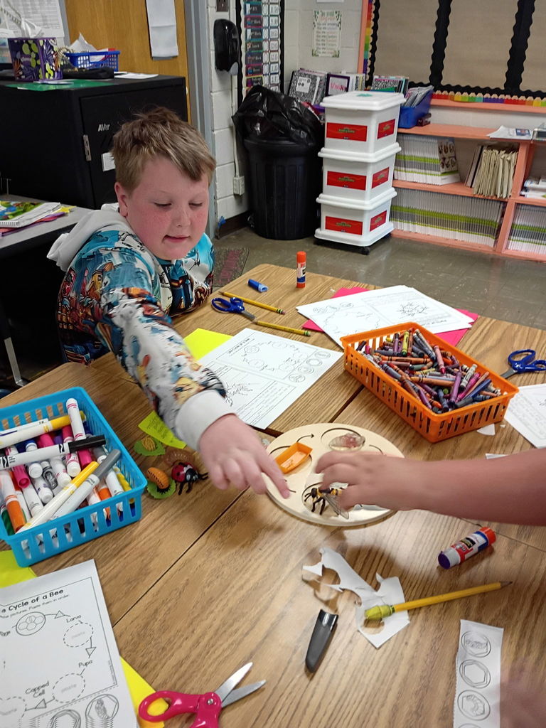 west carroll primary students studying bugs in bug lab with materials and equipment on tables