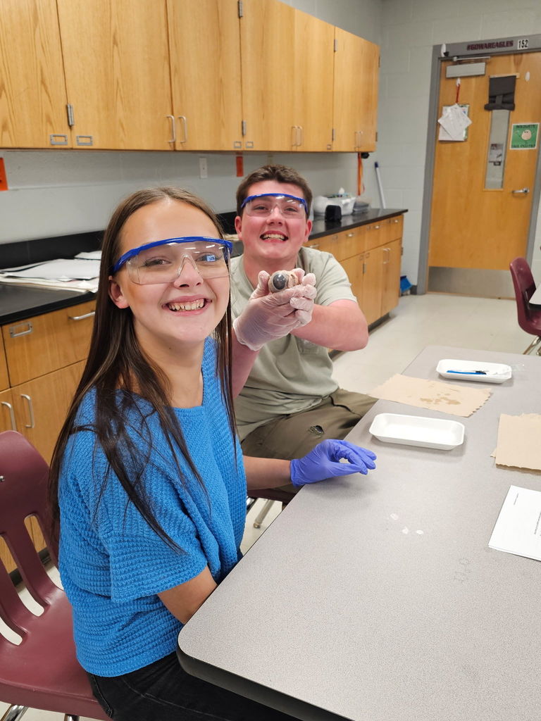 Biology Students cow eye dissection 