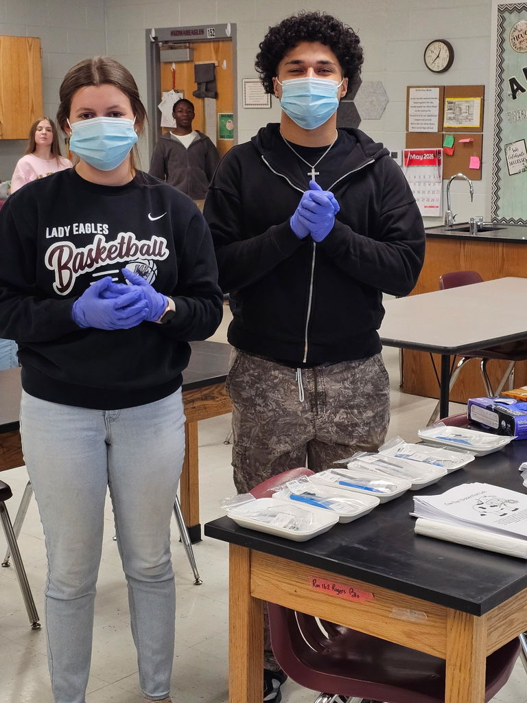 Biology Students cow eye dissection 