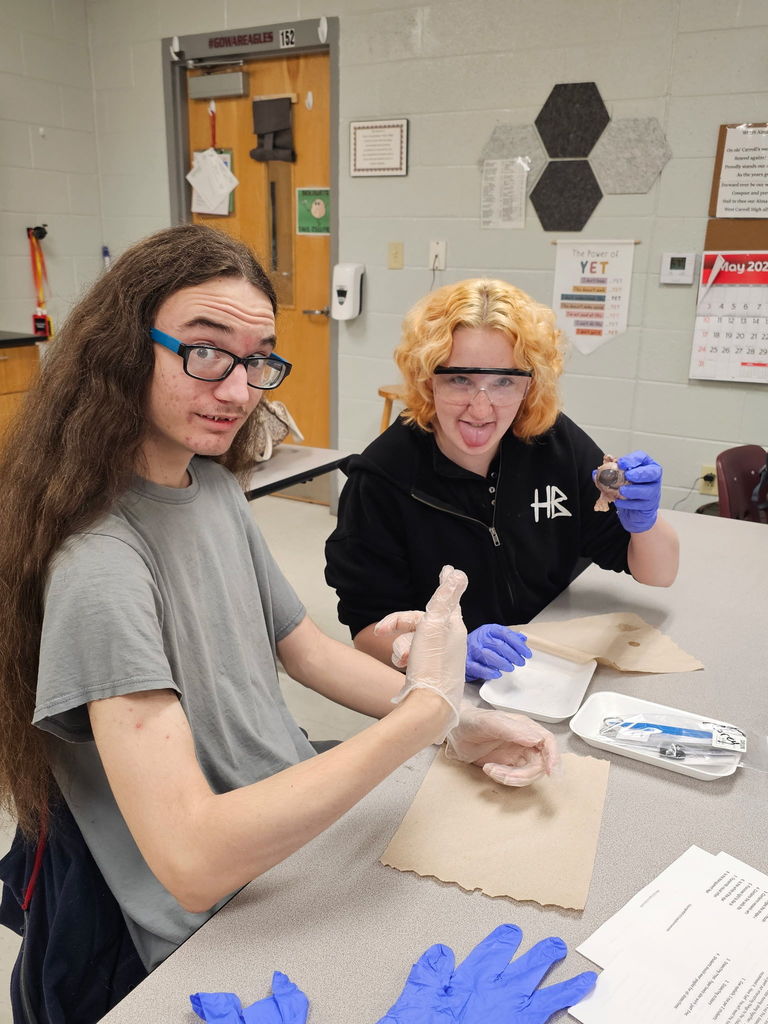 Biology Students cow eye dissection 