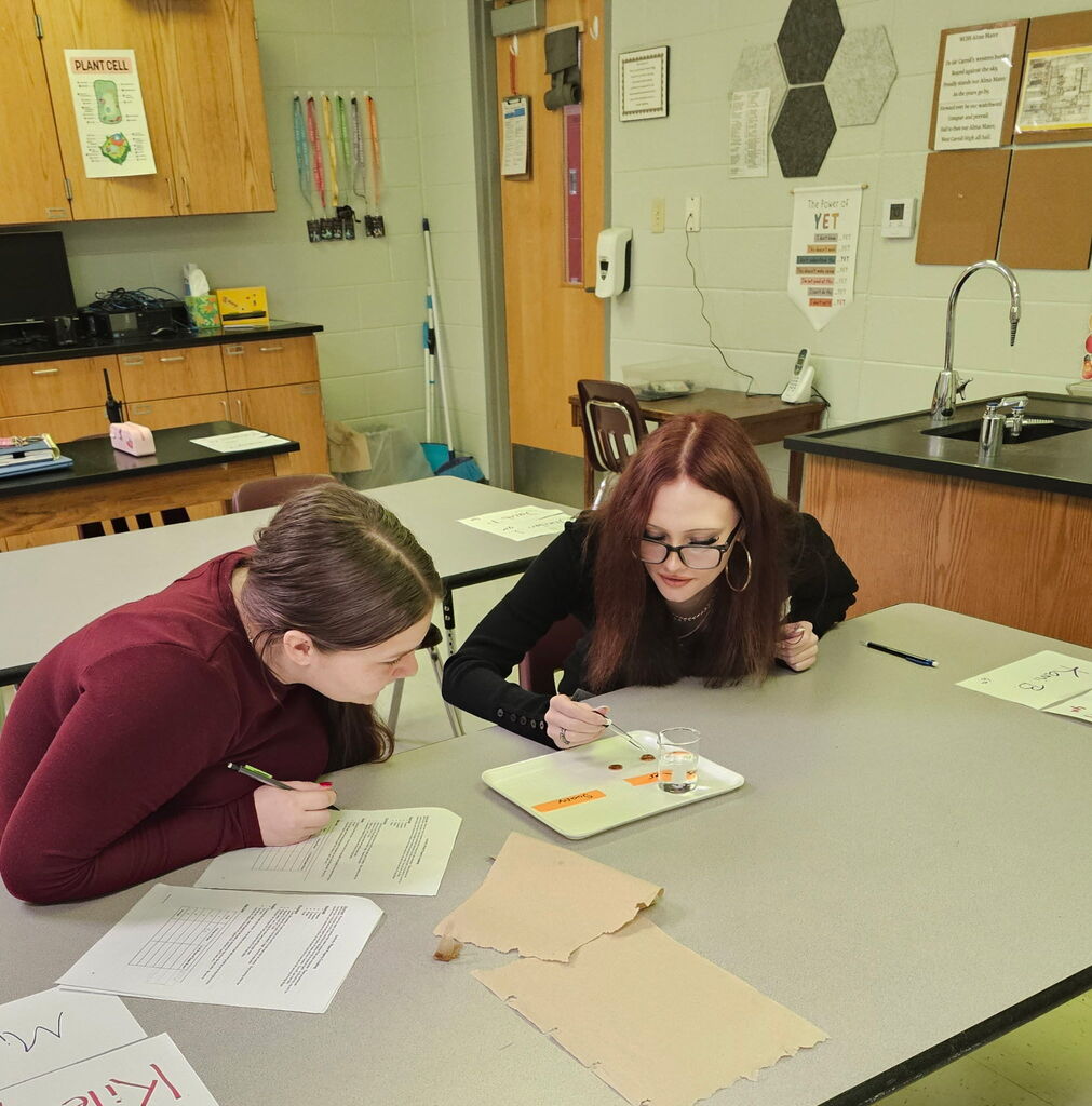 Students completing a surface tension experiment in biology