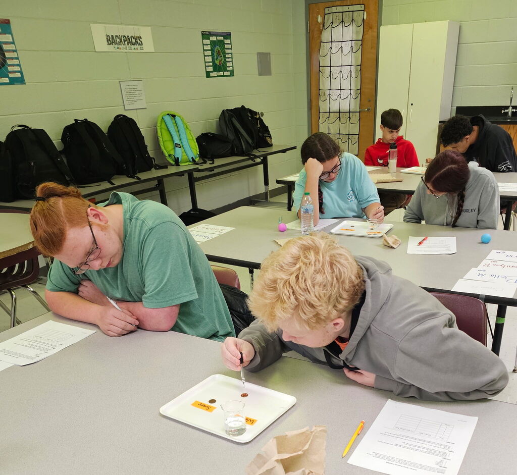 Students completing a surface tension experiment in biology