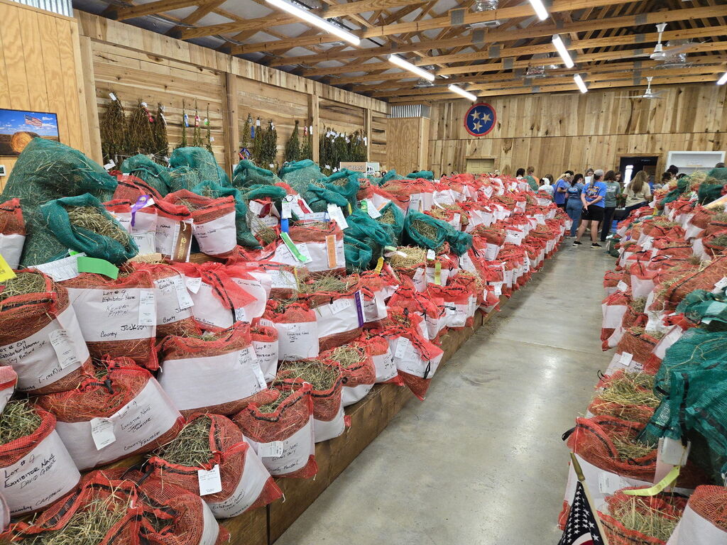 Images from State Fair