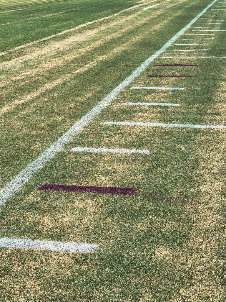 painted tick marks at the football field 