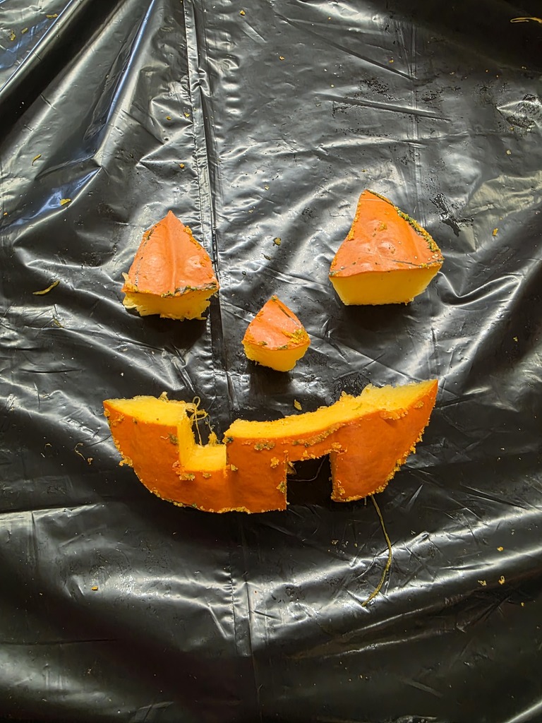 Pieces carved out of a pumpkin