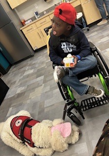 boy and dog wearing hats