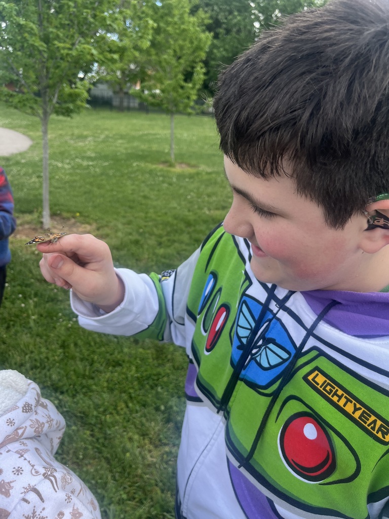 A young boy wearing a green and white Toy Story themed outfit holds a butterfly in his hand.