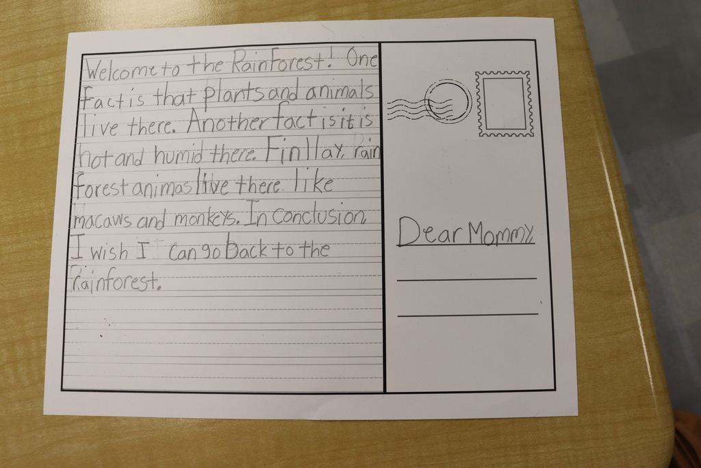 A piece of paper on a wooden table, displaying a handwritten letter with text about the rainforest.