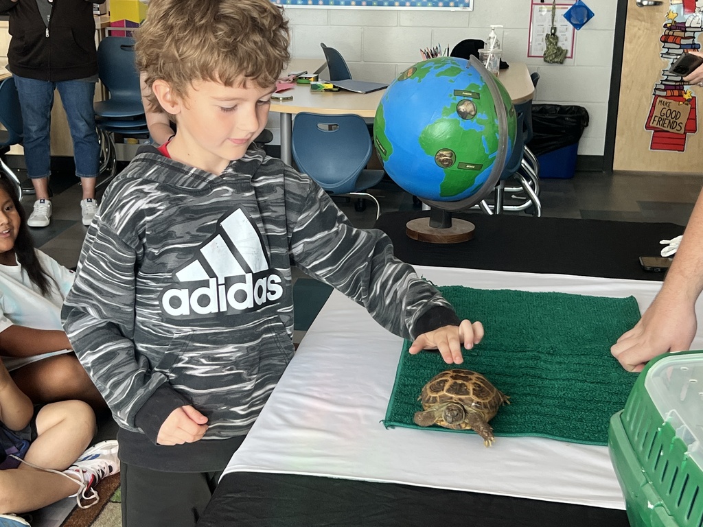 A young boy in an Adidas hoodie holds a small tortoise on a green mat. A globe is behind him.