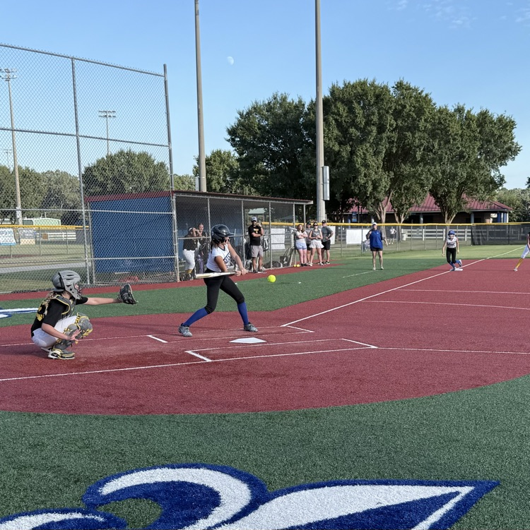 Player at bat