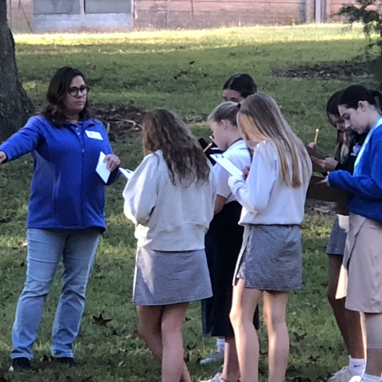 Students participating in Tree Lab exercise