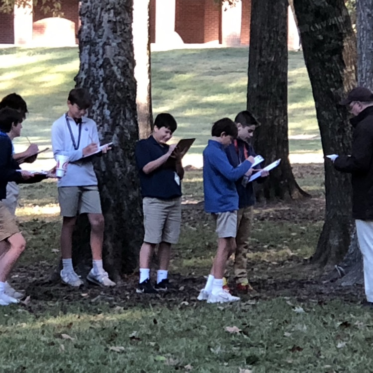 Students participating in Tree Lab exercise