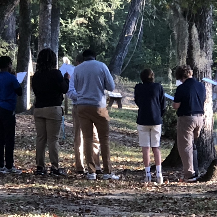 Students participating in Tree Lab exercise