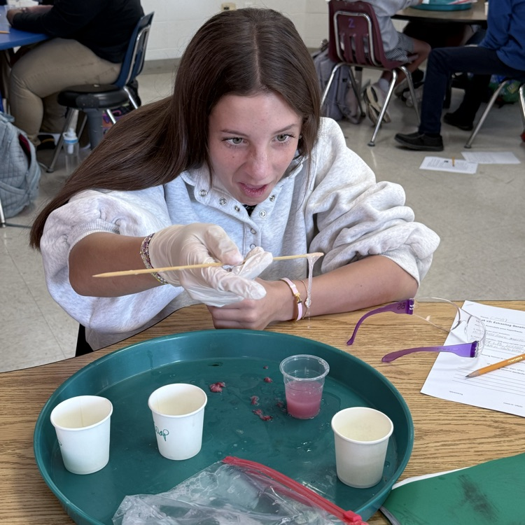 Students extract genetic material from strawberries
