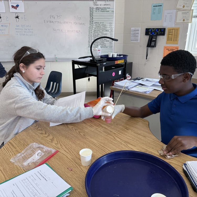 Students extract genetic material from strawberries